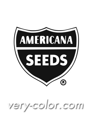 americana_seeds_logo.jpg