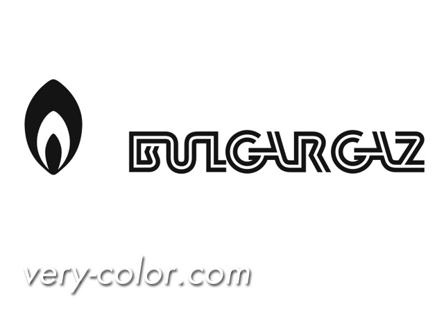 bilgargaz_logo.jpg