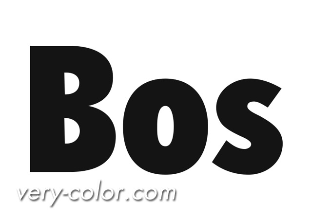 bos_logo.jpg