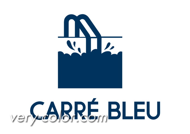 carre_bleu_logo.jpg