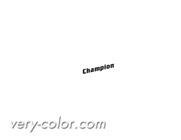 champion_logo3.jpg