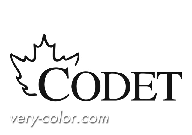 codet_logo.jpg