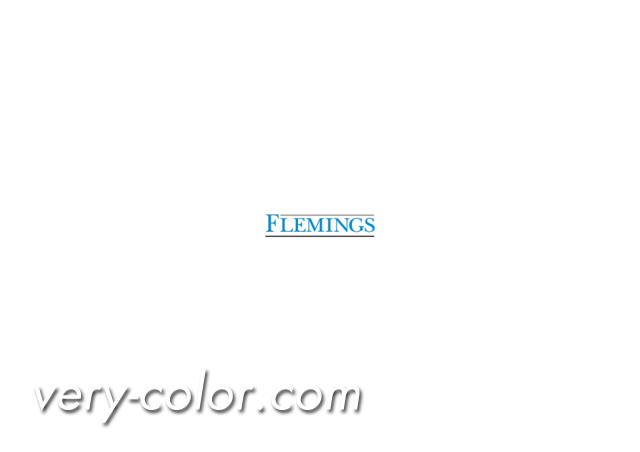 flemings_logo.jpg