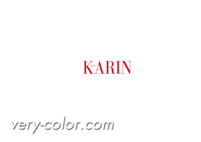karin_models_logo.jpg