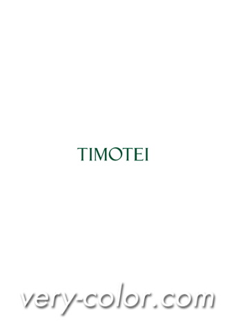 timotei_logo2.jpg
